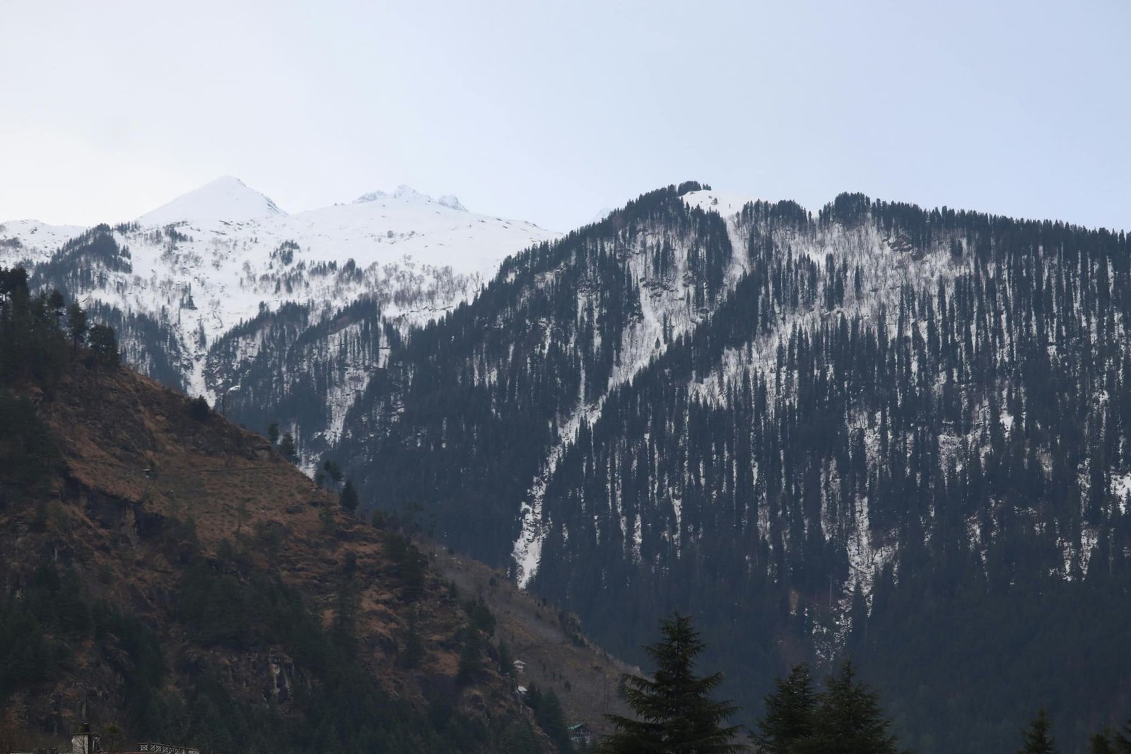 River rafting, Kullu Valley